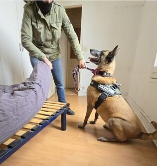 Équipe Dog Expertise Nuisible